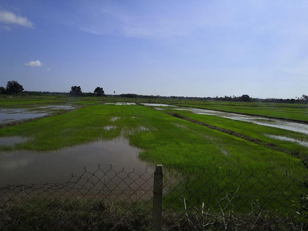 Ummi'S Homestay Besut Kampung Kuala Besut Ngoại thất bức ảnh